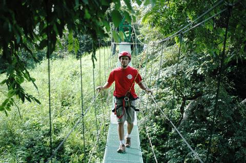 Witch's Rock Canopy Tour Costa Rica